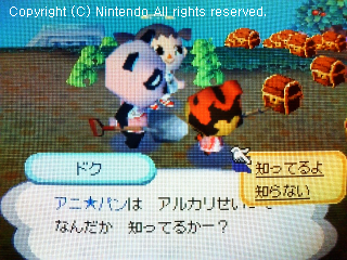 チャウヤン&ドク