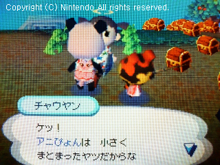 チャウヤン&ドク