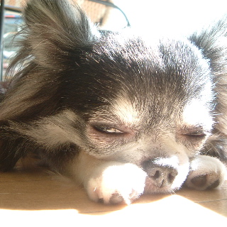 a0079803_256437.jpg