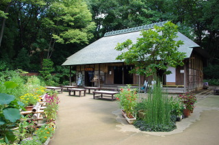 f0179404_21362435.jpg