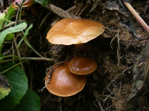 d0051707_17324719.jpg
