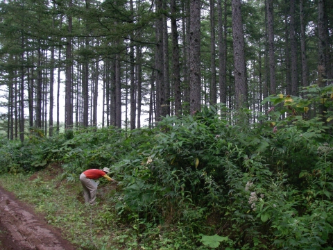 d0051707_1739922.jpg