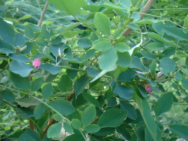 f0173908_7185978.jpg