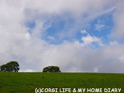 c0153410_13345798.jpg