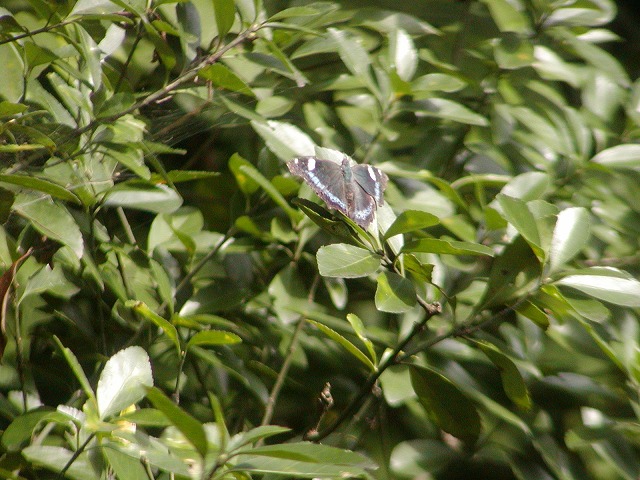 d0037110_1947352.jpg