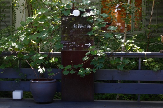 c0112313_20343631.jpg