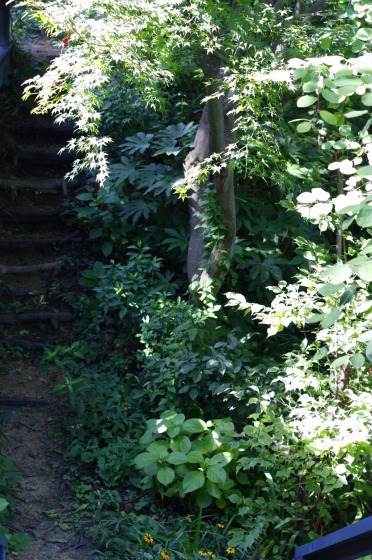 c0112313_2039025.jpg