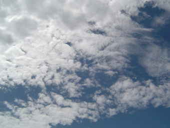 c0135618_1394543.jpg
