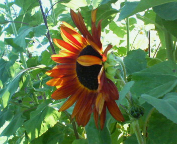 f0036223_1765158.jpg
