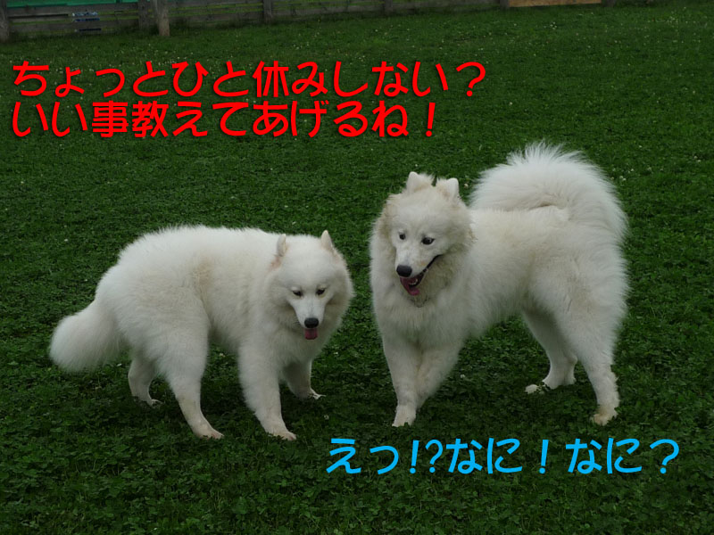 b0146024_17351750.jpg