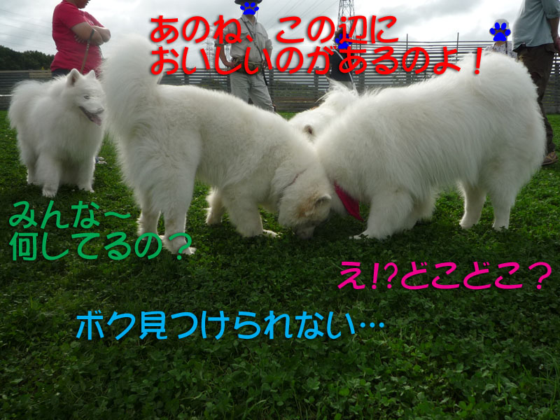 b0146024_17353660.jpg