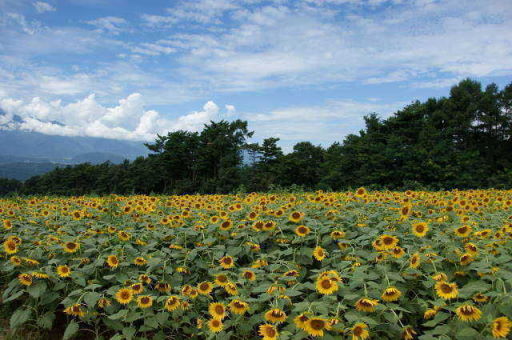 f0095431_23514491.jpg