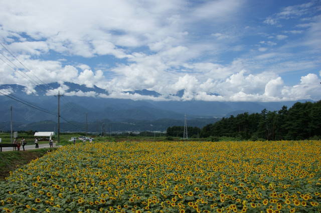 f0095431_23535510.jpg