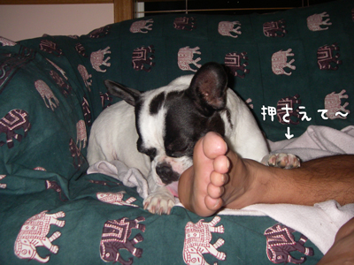 e0008833_1281237.jpg
