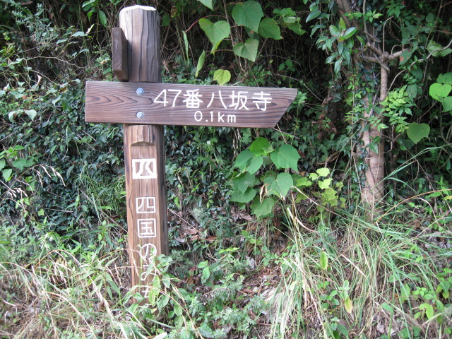 c0175339_017242.jpg