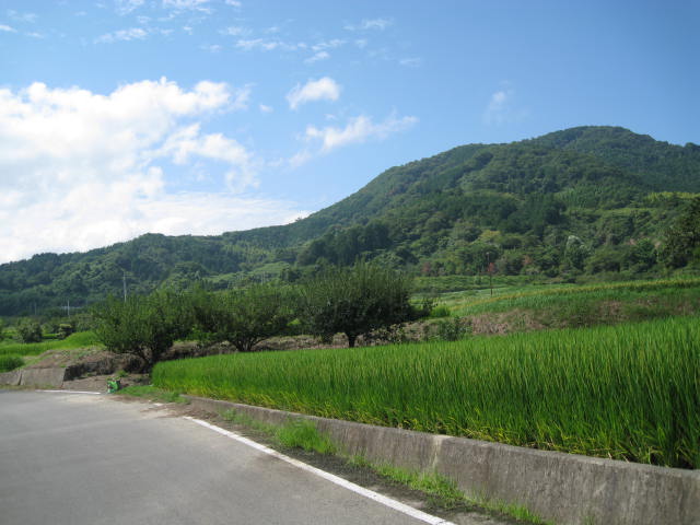 c0175339_0203864.jpg