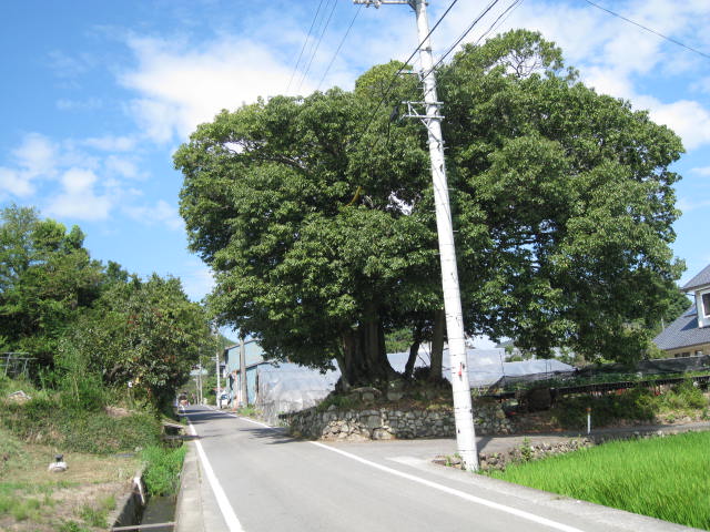 c0175339_020631.jpg