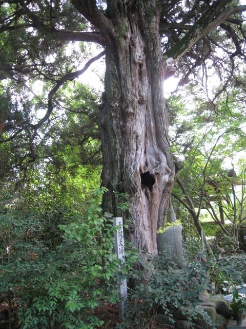 c0175339_0234175.jpg