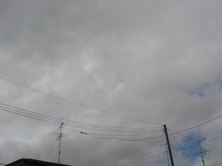 e0138840_954845.jpg