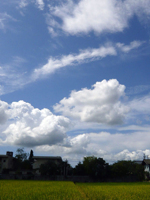 c0131544_11562754.jpg