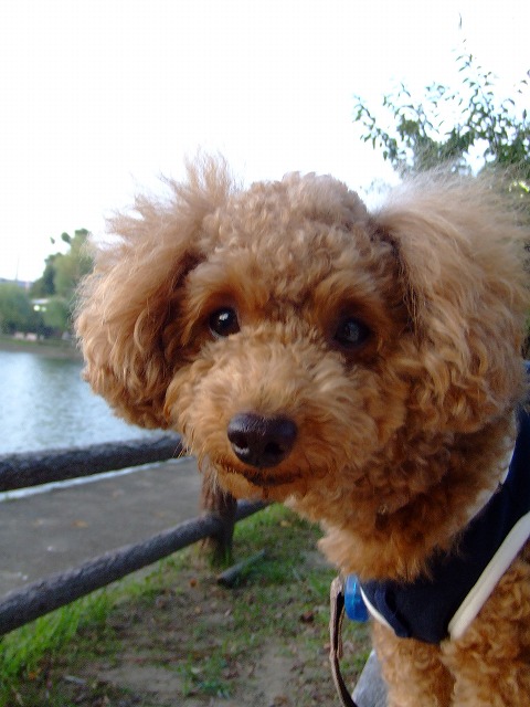 f0068649_21161894.jpg