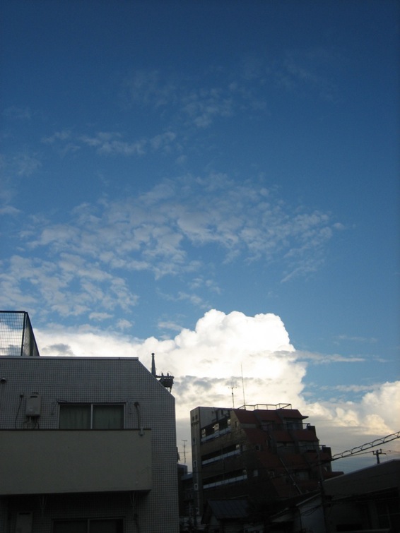 c0138553_12584577.jpg