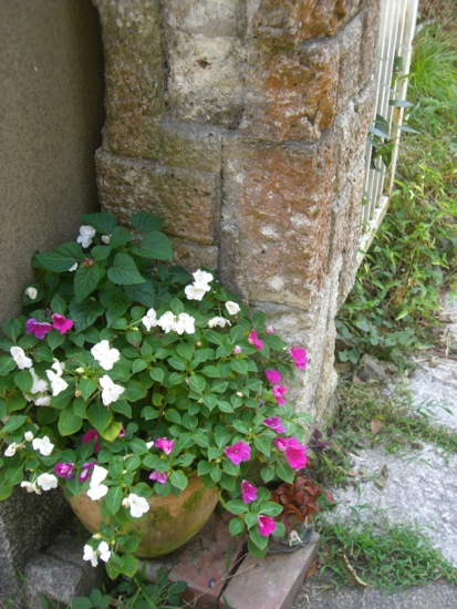 f0176458_06597.jpg