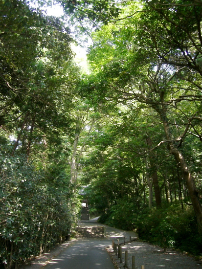 f0176458_08446.jpg