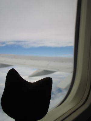 c0167359_23514967.jpg