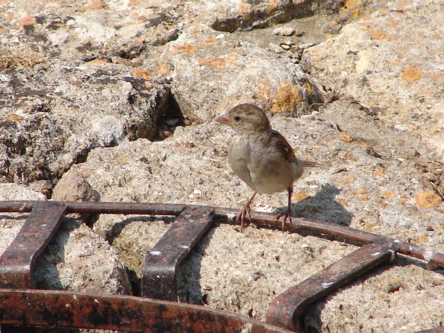 c0177361_0345184.jpg