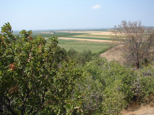 c0177361_074520.jpg