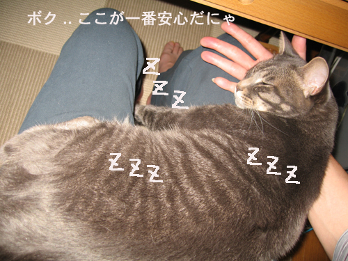 e0057361_15593385.jpg