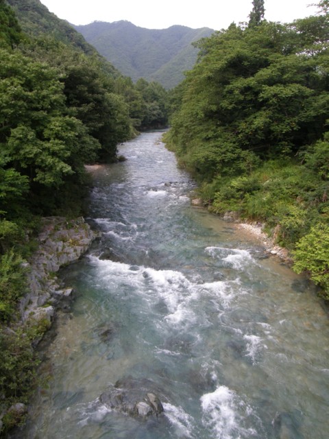 d0134473_15551957.jpg