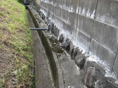 f0003174_1112721.jpg
