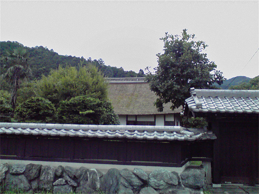 f0089079_4432155.jpg