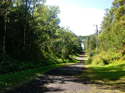 b0001980_5375367.jpg