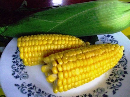 c0078480_1142442.jpg