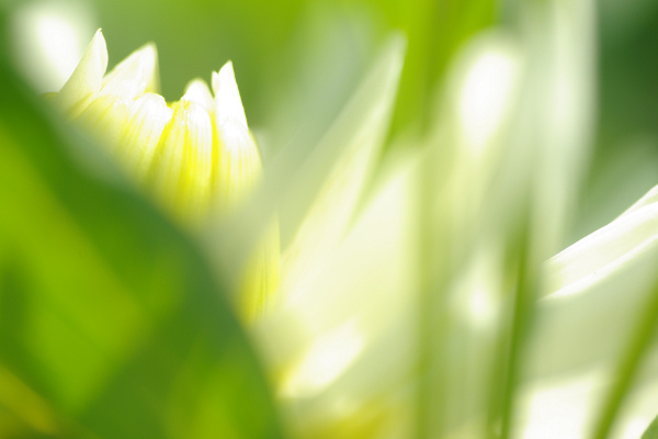 e0051186_2015151.jpg