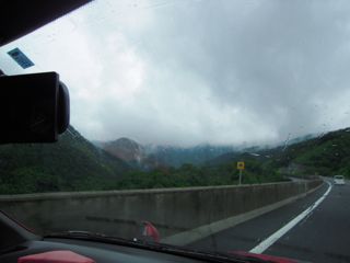d0010496_1451060.jpg