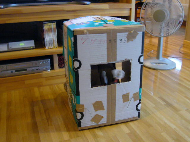 d0015096_1633212.jpg