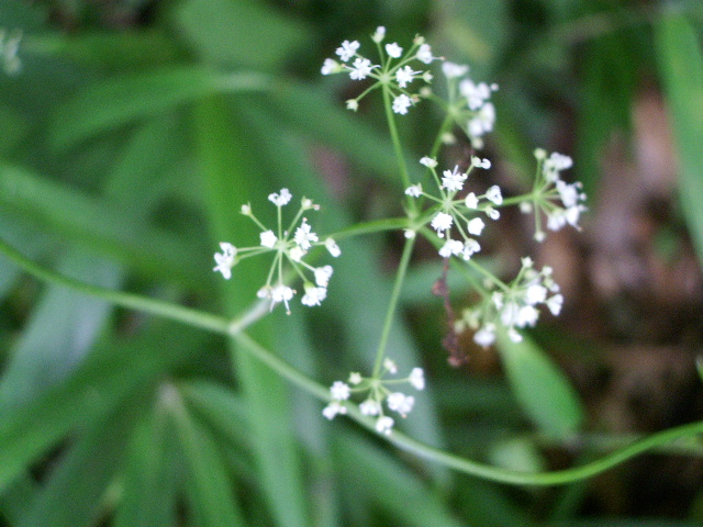 e0025300_14522015.jpg