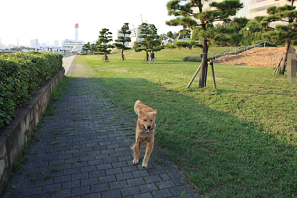 e0117503_2137241.jpg