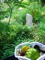 c0148705_7555740.jpg