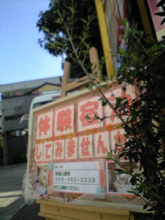 d0080906_9503680.jpg