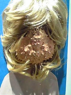 e0045108_20504130.jpg