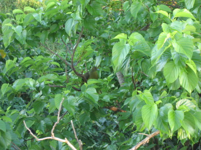 d0077811_0241573.jpg