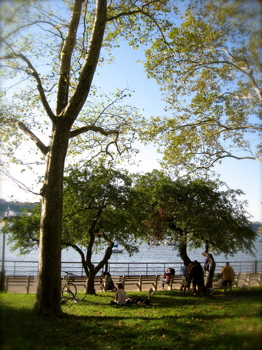 c0120817_1438287.jpg