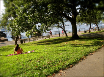 c0120817_1439075.jpg