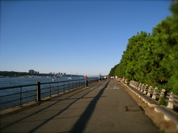c0120817_14431172.jpg