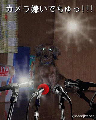 b0144519_13281636.gif